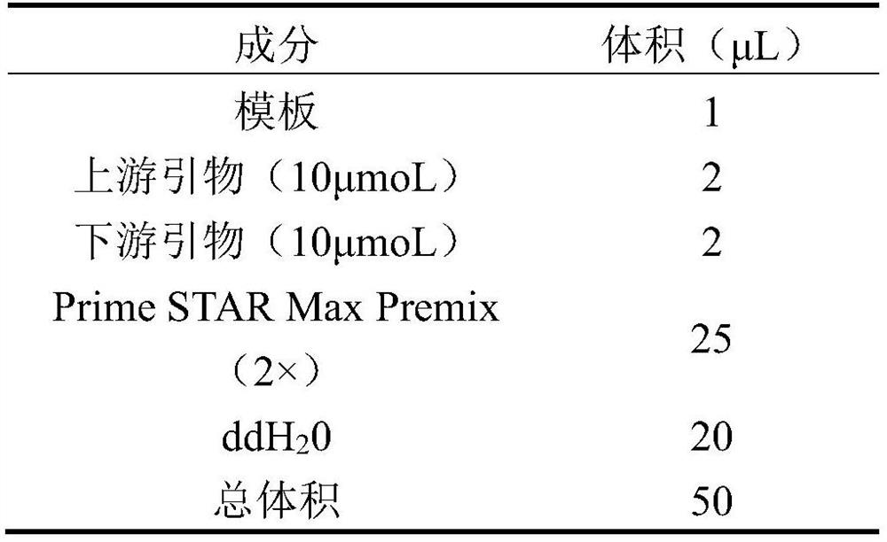 Isocitrate lyase mutant and its application in the preparation of aromatic amino acids