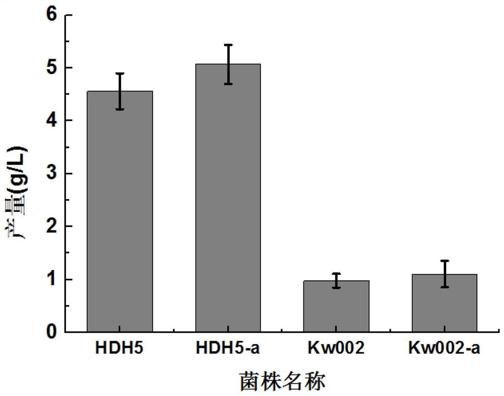 Isocitrate lyase mutant and its application in the preparation of aromatic amino acids