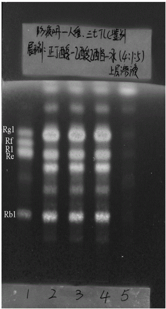 Detection method of ginseng/pseudo-ginseng-containing traditional Chinese medicine preparation