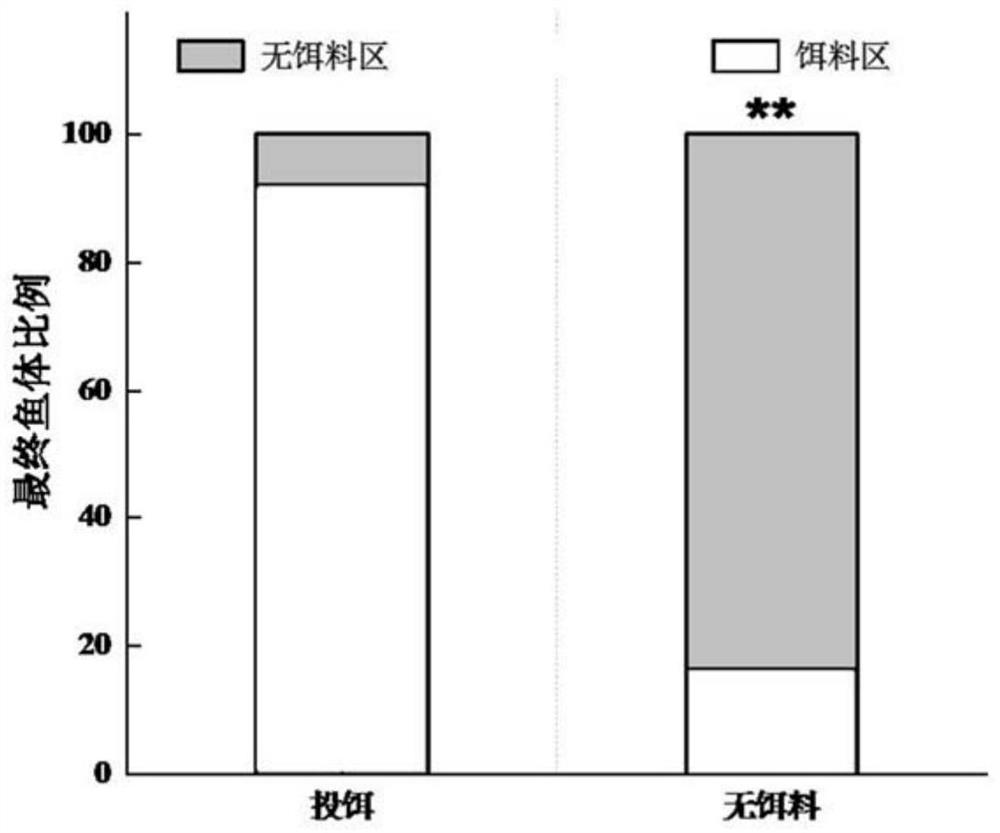 Fish foraging behavior testing method and device