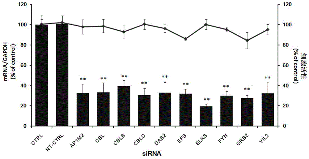 Application of protein tyrosine kinase FYN proto-oncogene in controlling enterovirus 71 infections