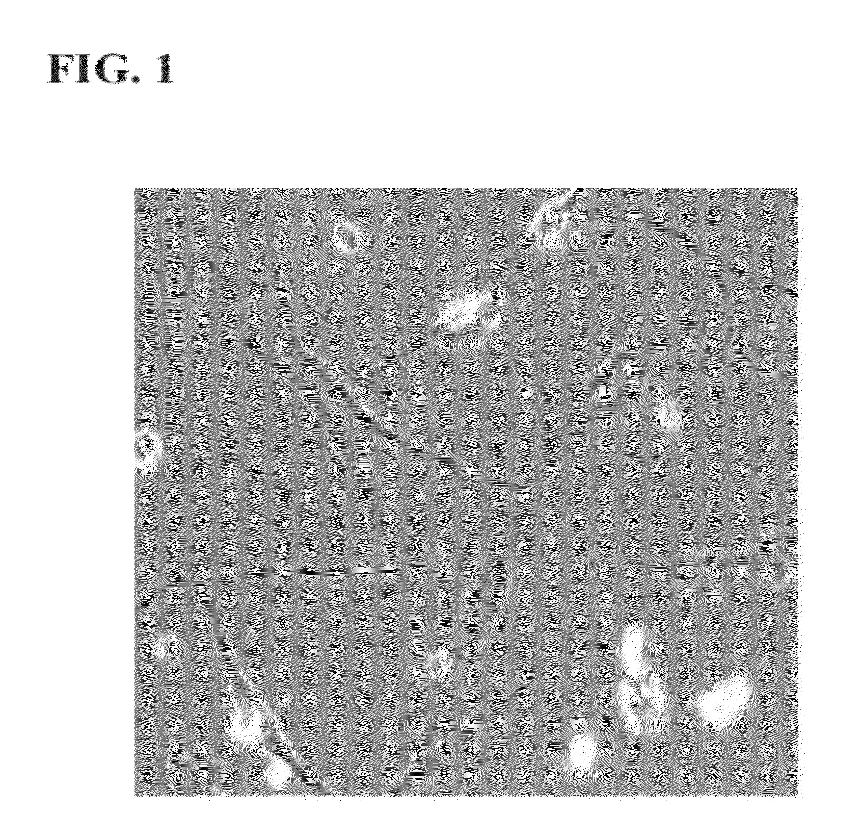 Method of mass producing growth factor using adipose derived adult stem cells
