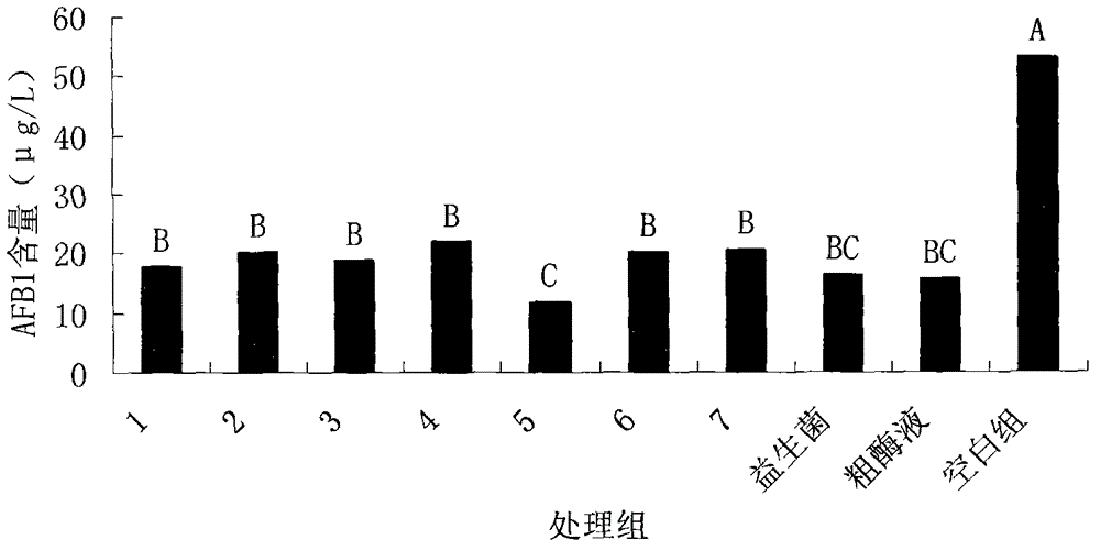 Aflatoxin B1 degradation agent and application thereof