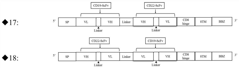 Bispecific CAR structure targeting CD19 and CD22 and application of bispecific CAR structure