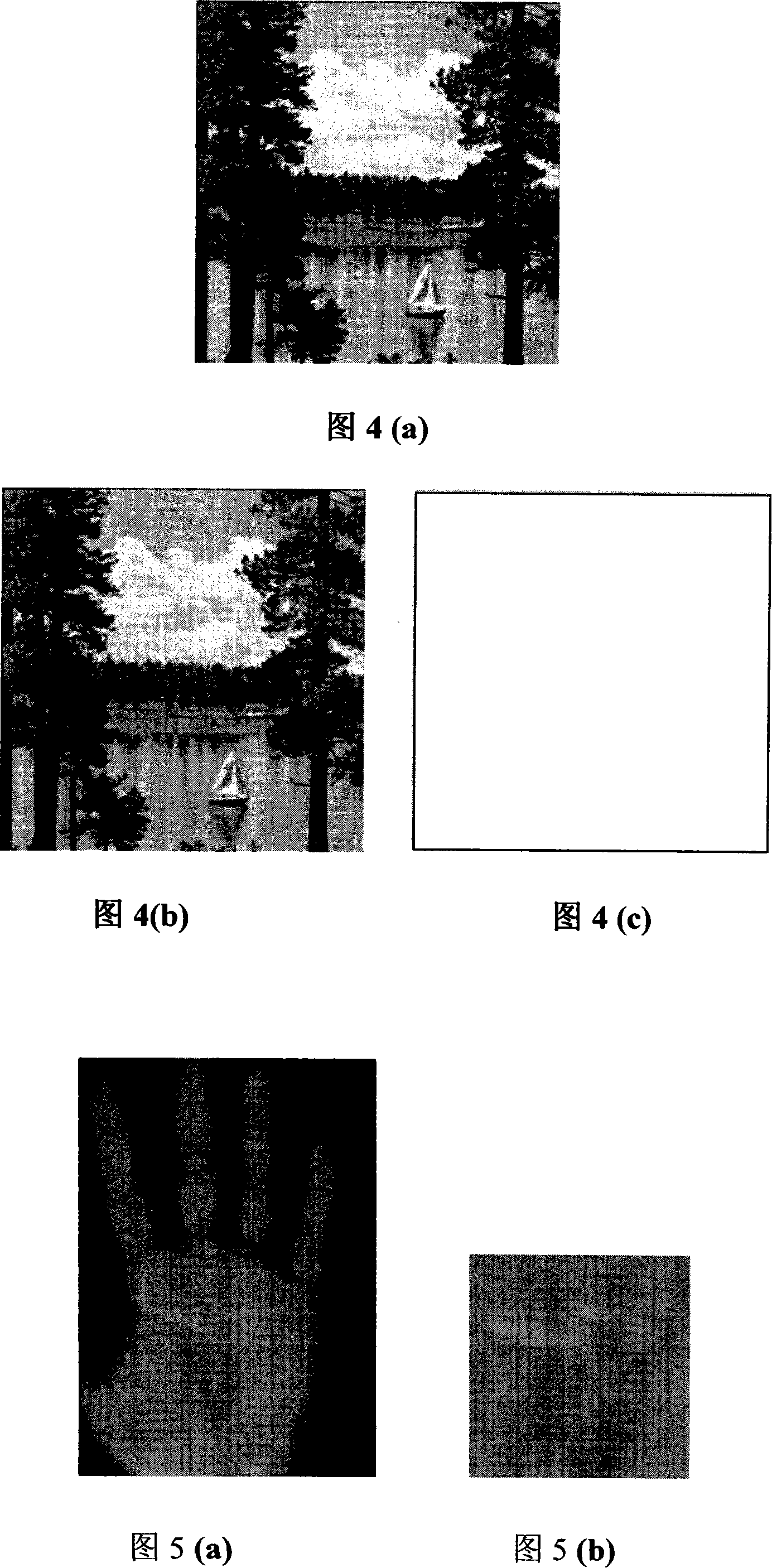 Document authentication method based on interweaving watermark and biological characteristic