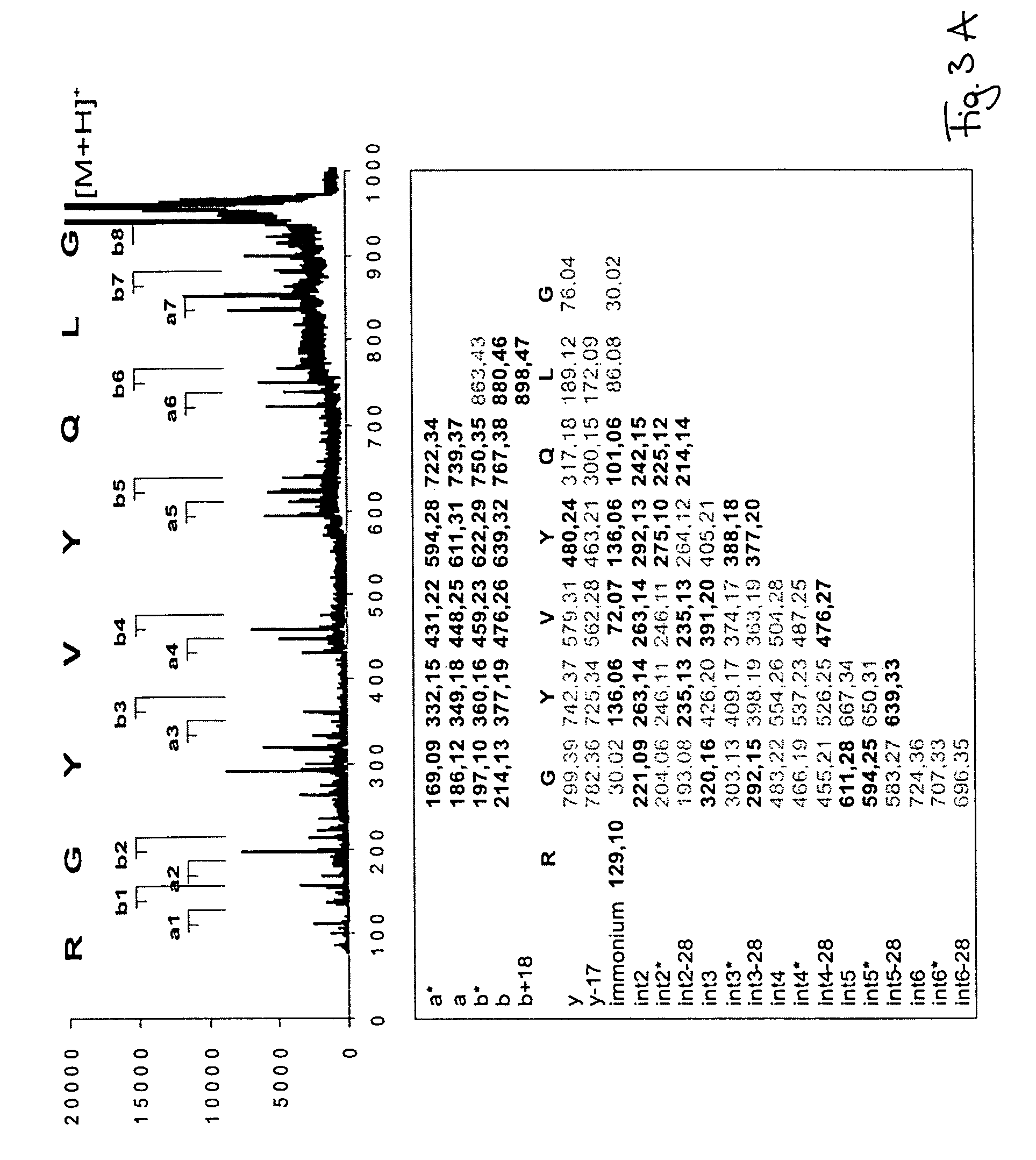 Peptide sequencing from peptide fragmentation mass spectra