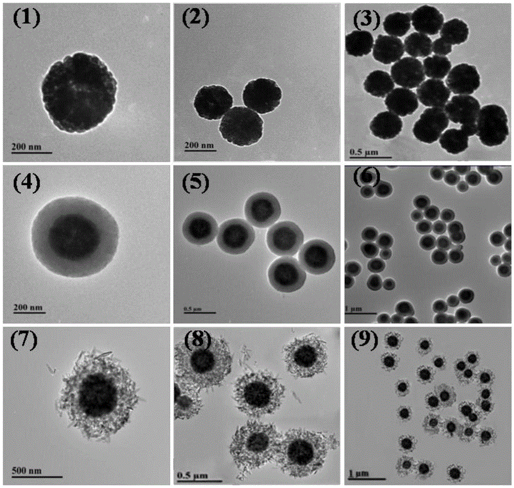 Application of Fe3O4/mTiO2 magnetic mesoporous nanometer material in degradation of pesticide