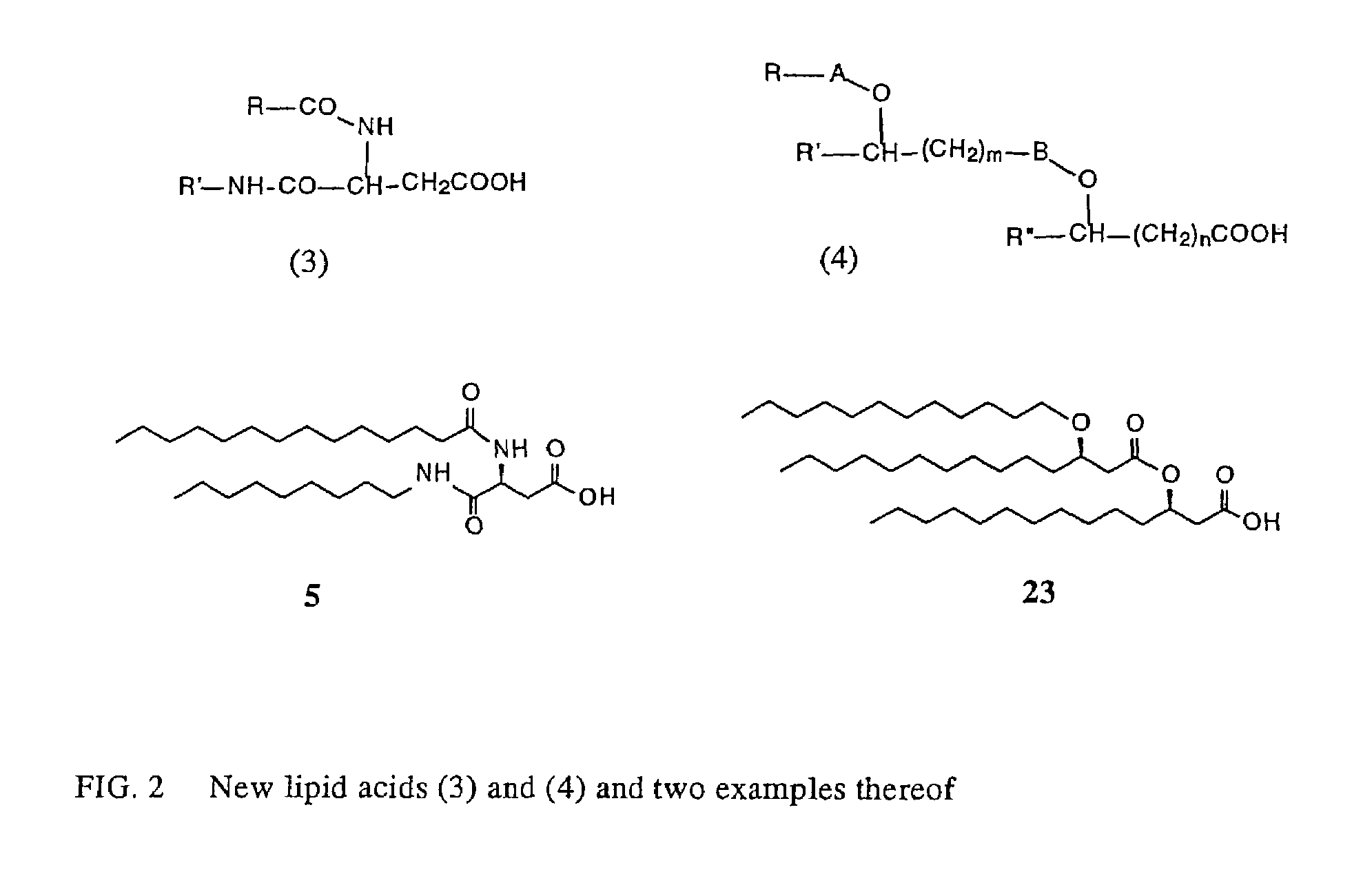 Synthetic lipid-a-analogs and uses thereof