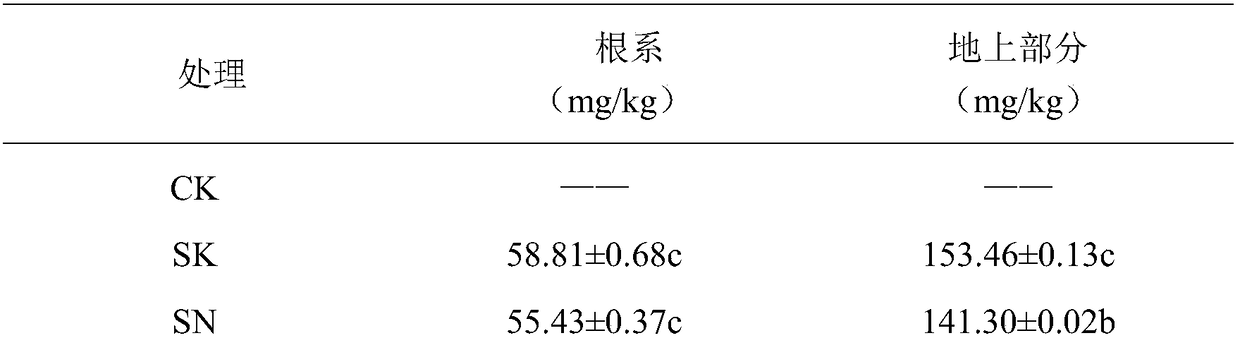 Method for reducing content of heavy metal in corn kernels during corn hybrid offspring interbreeding