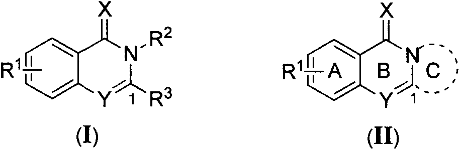 Isoquinolone derivative as well as preparation method and application thereof