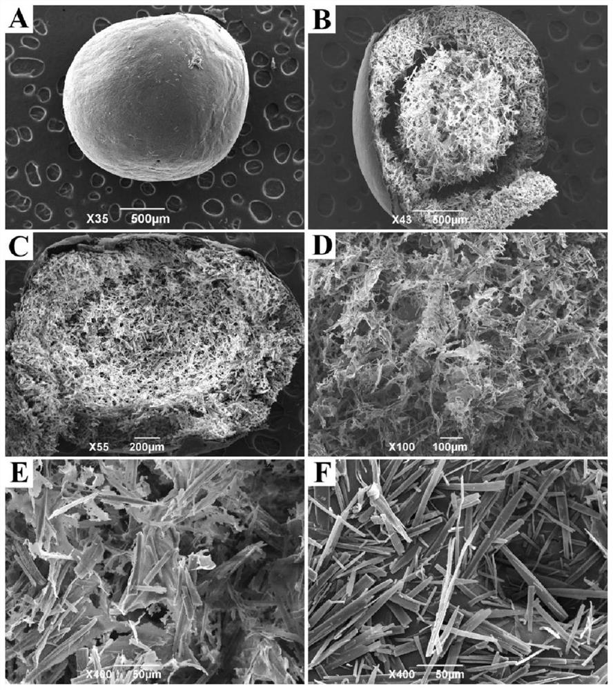 A kind of preparation method of ibuprofen colon-targeted slow-release microspheres