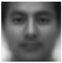 Partitioning human face recognition method based on weighted intensity PCNN model