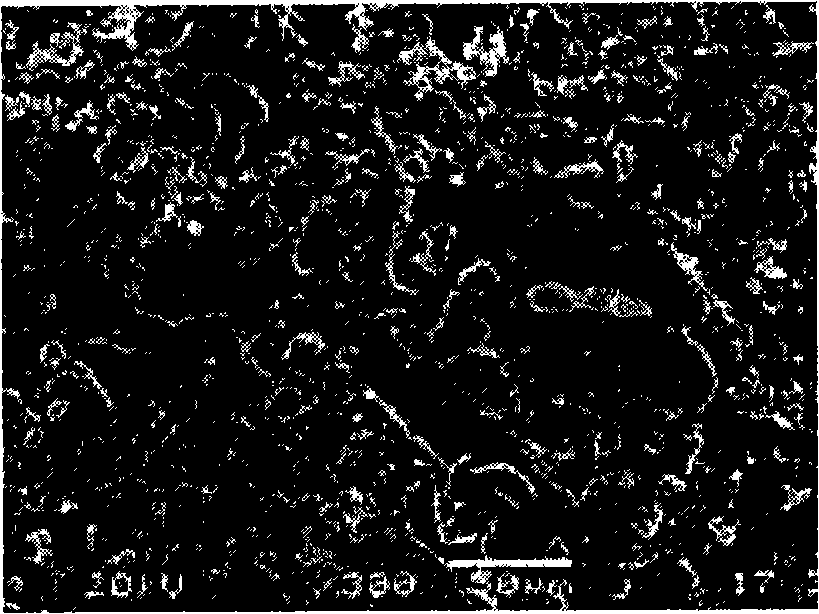 Method for preparing inoxidzable coating at high-temperature on carbon/carbon composite material surface