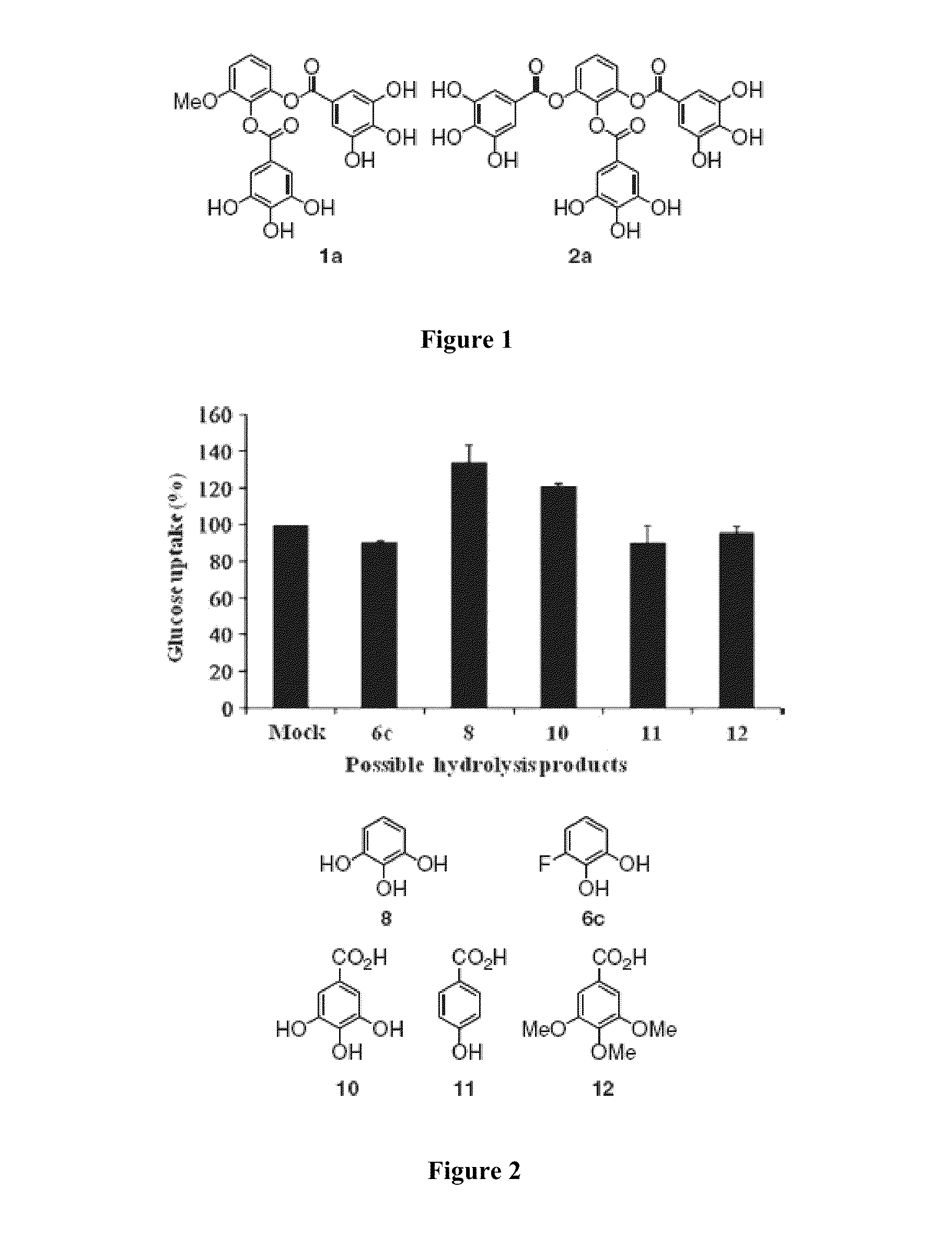 Compositions and methods for glucose transport inhibition