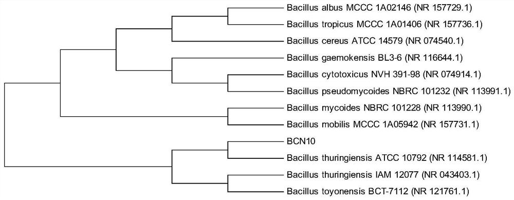 A kind of Bacillus thuringiensis strain for biocontrol and use thereof