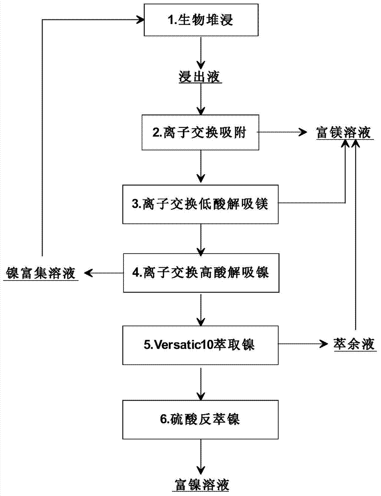 Method for comprehensively recovering nickel and magnesium in bio-leaching process of high-magnesium low-nickel sulfide ore