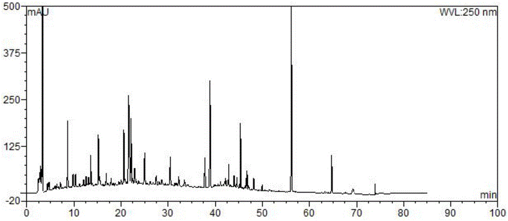 A kind of detection method of Shufengjiedu capsule