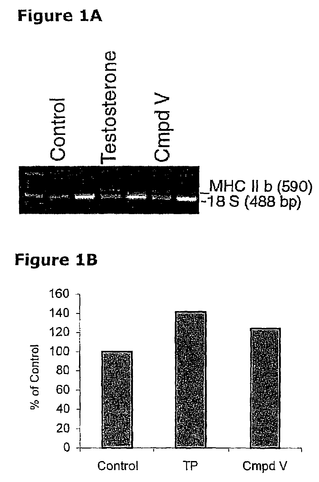 Treating muscle wasting with selective androgen receptor modulators