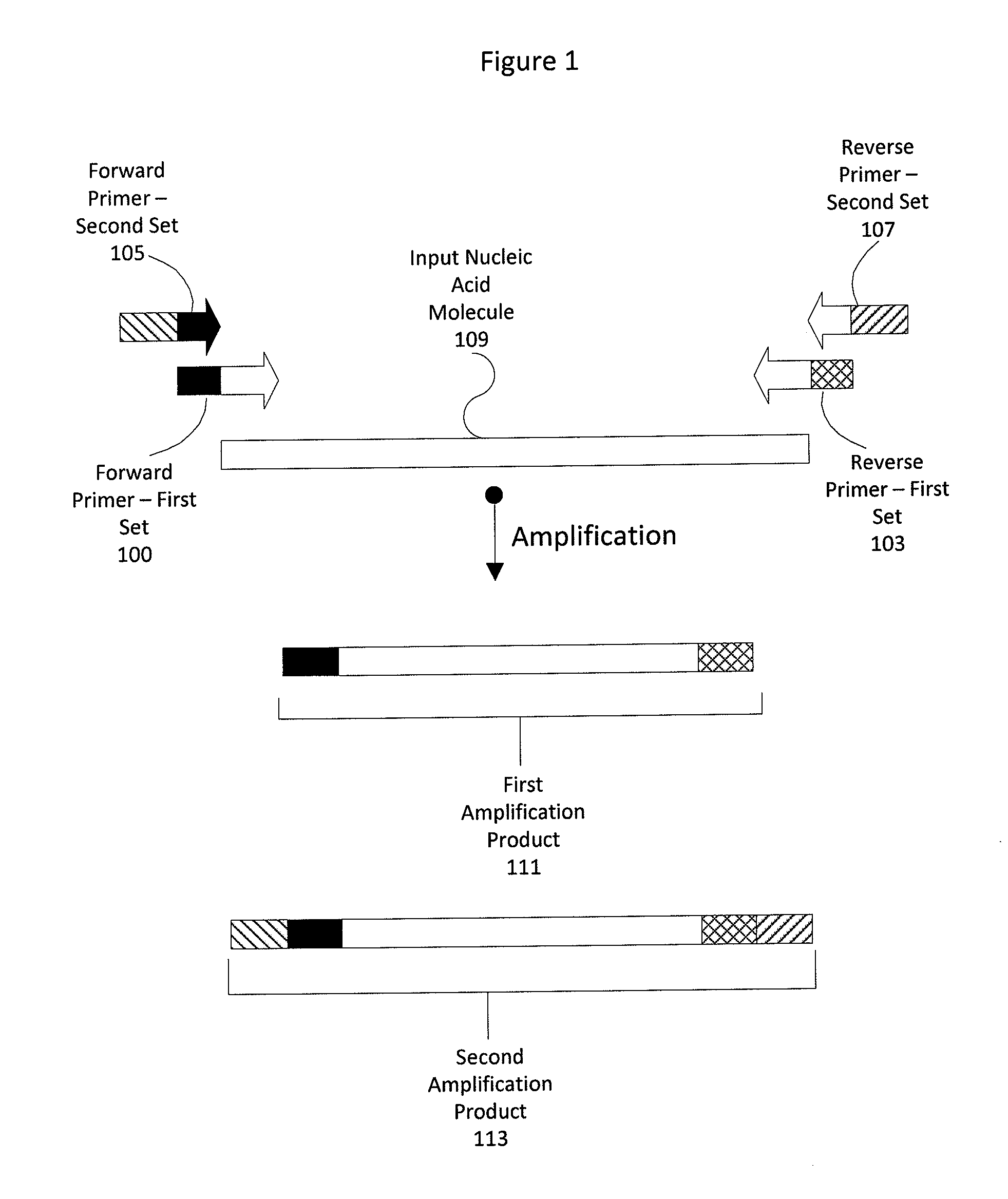 Method for Amplification of Target Nucleic Acids Using a Multi-Primer Approach
