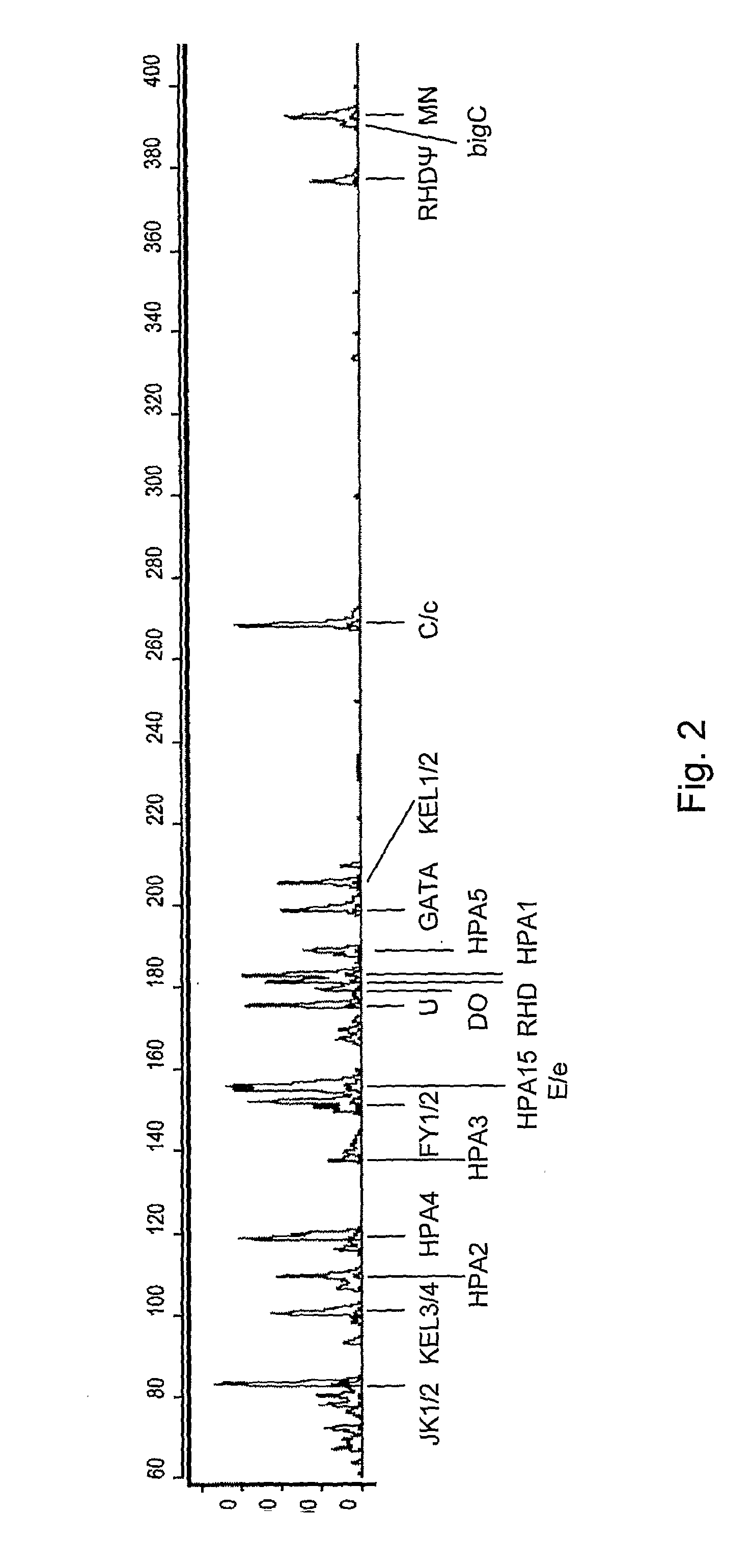 Method of Genotyping Blood Cell Antigens and Kit Suitable for Genotyping Blood Cell Antigens