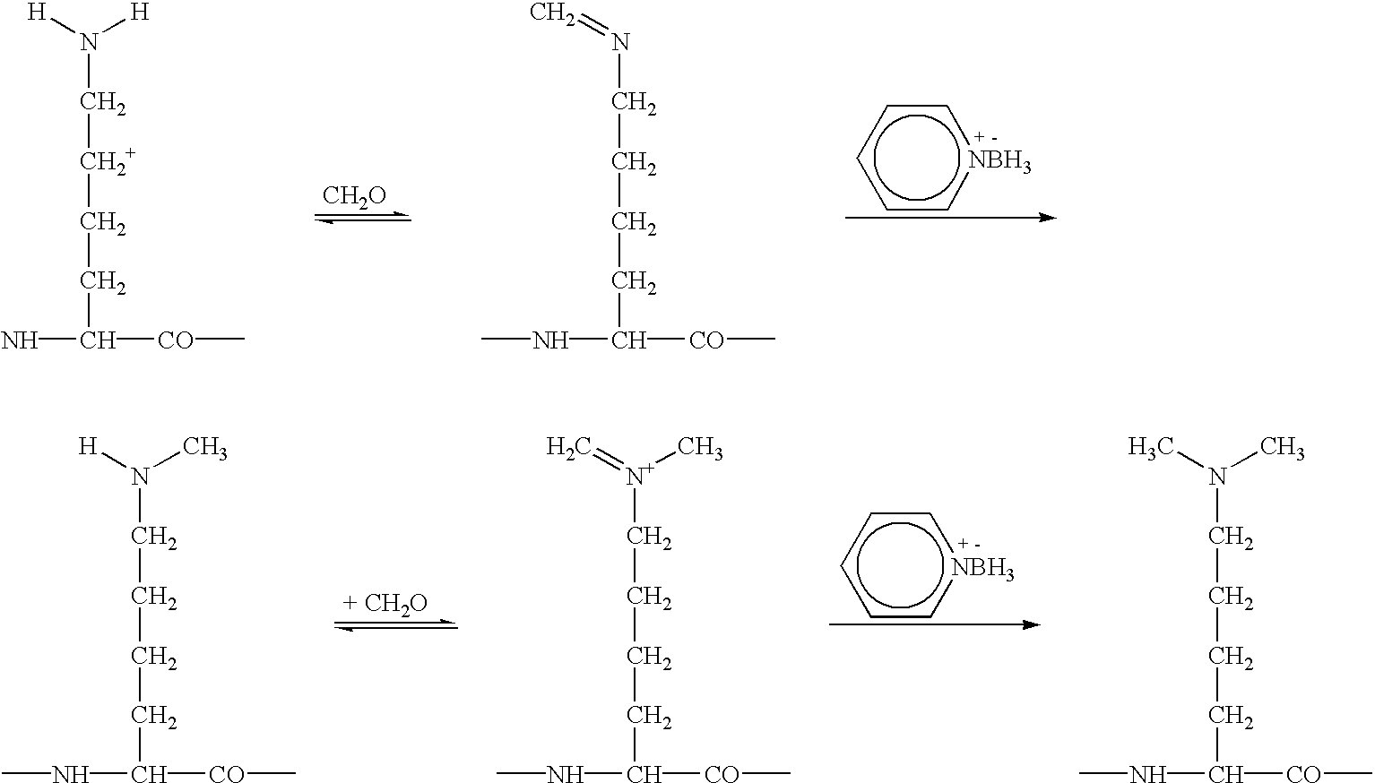 Non-naturally occurring synthetic lytic peptides