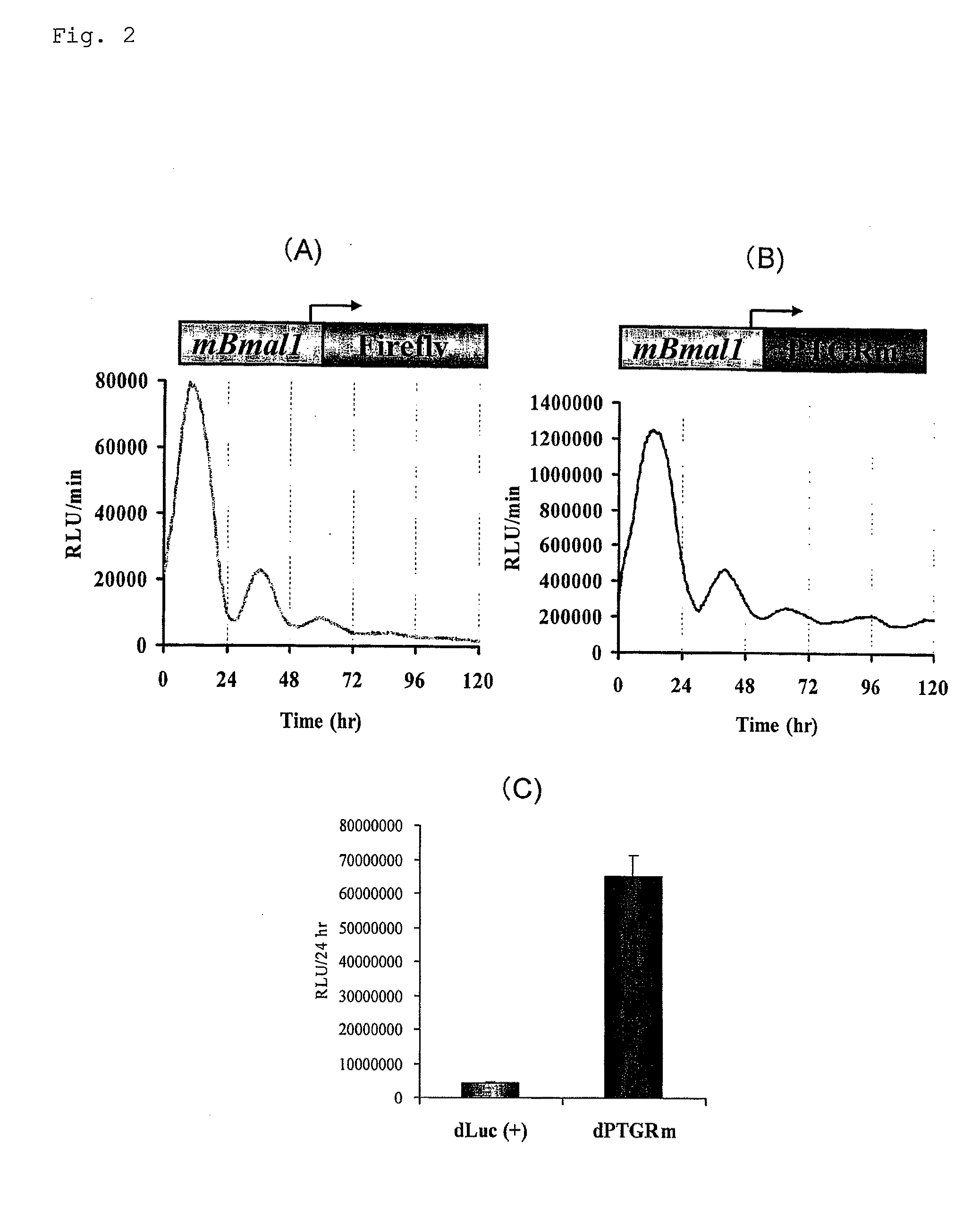 Luciferase gene optimized for use in imaging of intracellular luminescence