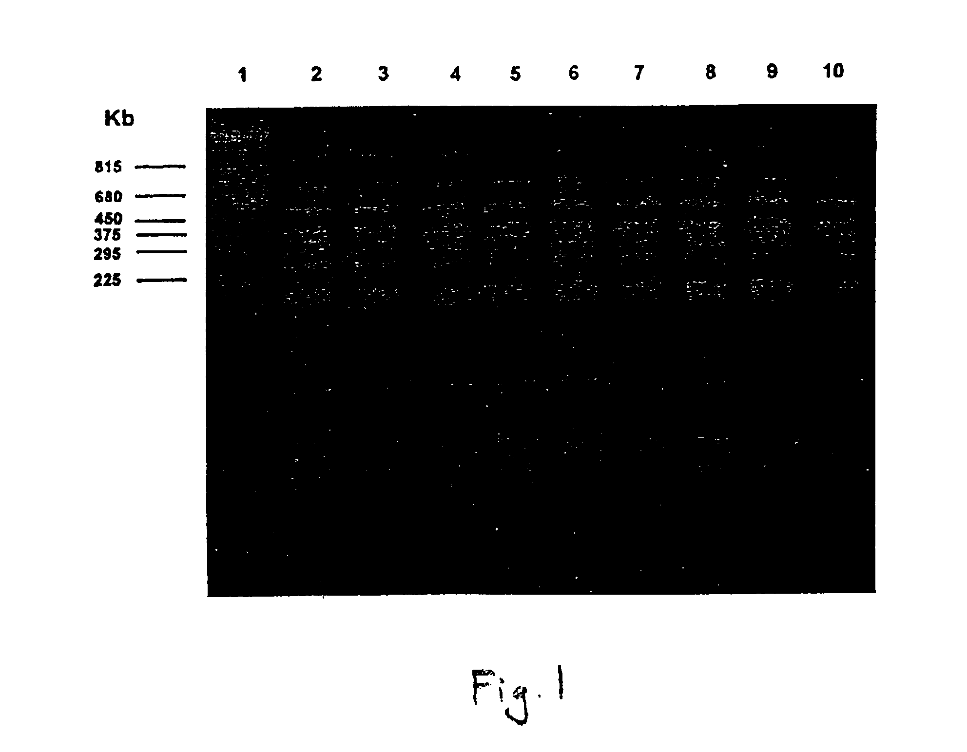 Method for suppressing growth of mycobacteria in metalworking fluids