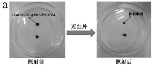 A kind of cellulose/n-isopropylacrylamide drug controlled release hydrogel and preparation method thereof