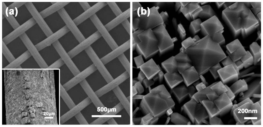 {111} crystal face highly-exposed titanium dioxide efficient photoelectrode and preparation and application thereof