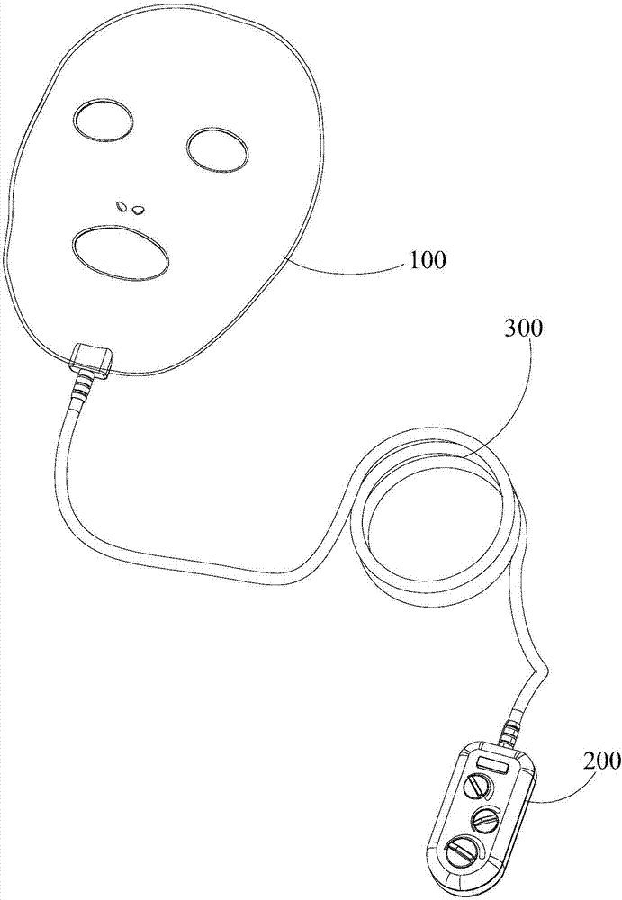 Facial sauna instrument