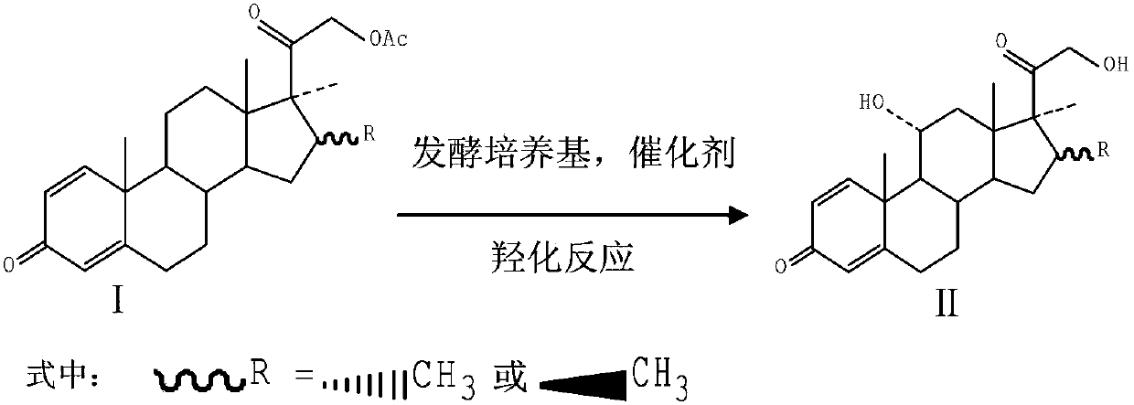 11-alpha hydroxylation reaction preparation method of steride hormone substance important intermediate