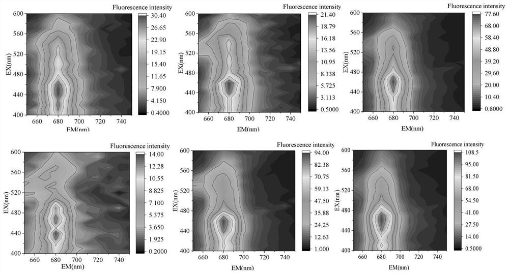 Online detection and identification method and system for fish toxic red tide algae