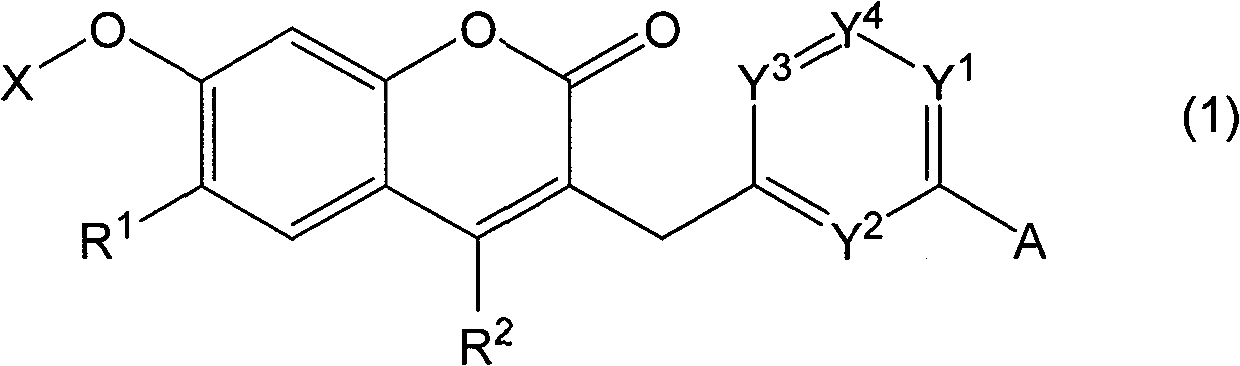 Novel coumarin derivative having antitumor activity