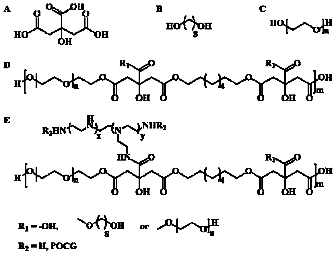 A kind of autofluorescence degradable polycitrate non-viral gene carrier and its preparation method