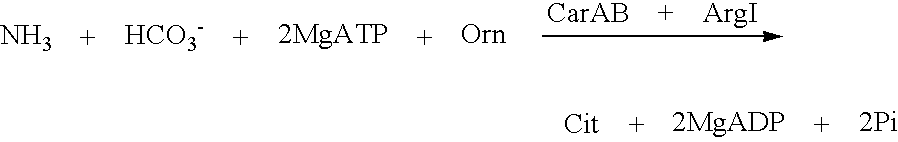 Mutant carbamoylphosphate synthetase and method for producing compounds derived from carbamoylphosphate