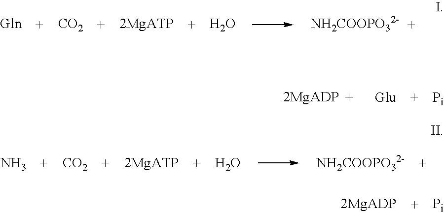Mutant carbamoylphosphate synthetase and method for producing compounds derived from carbamoylphosphate