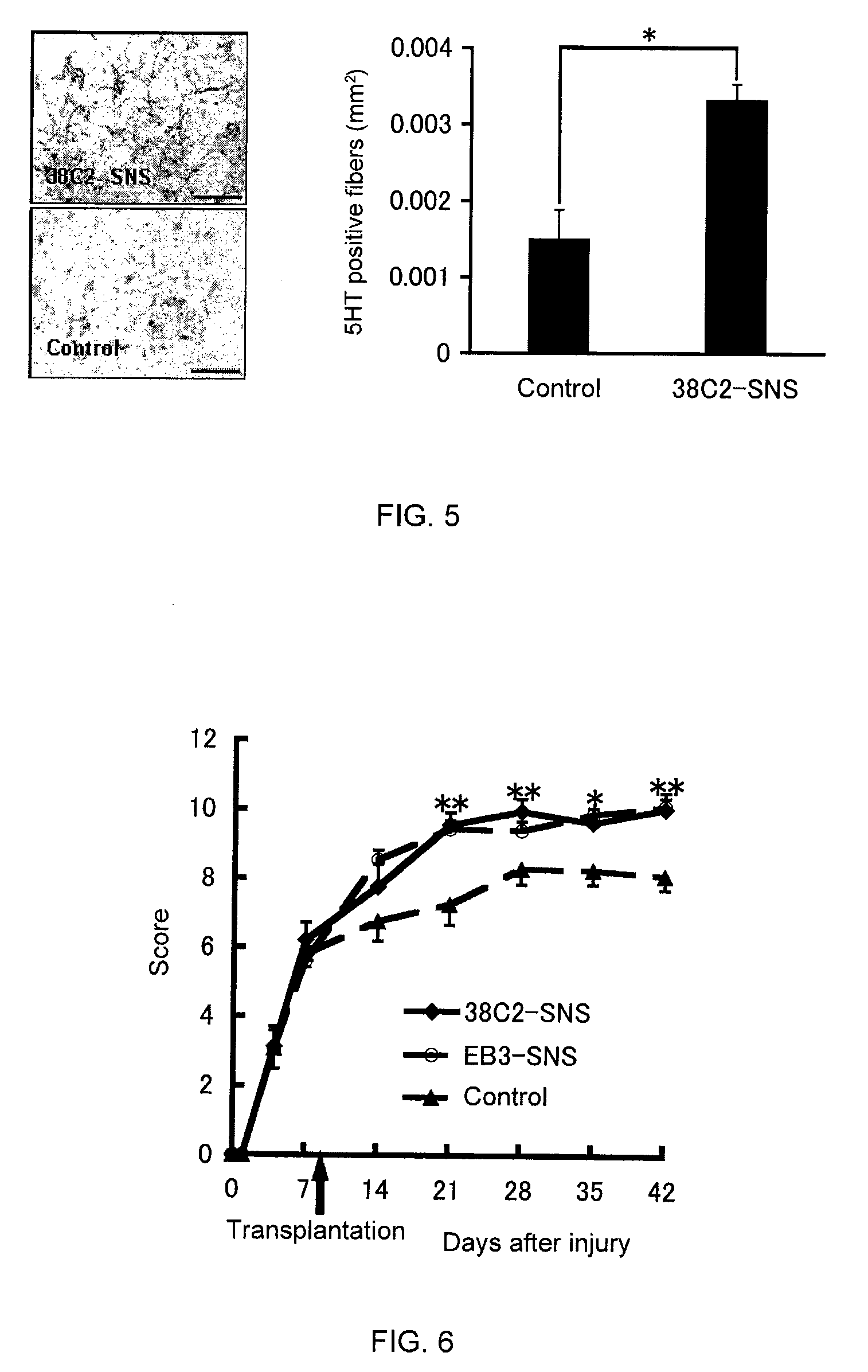 Method of treating neural defects