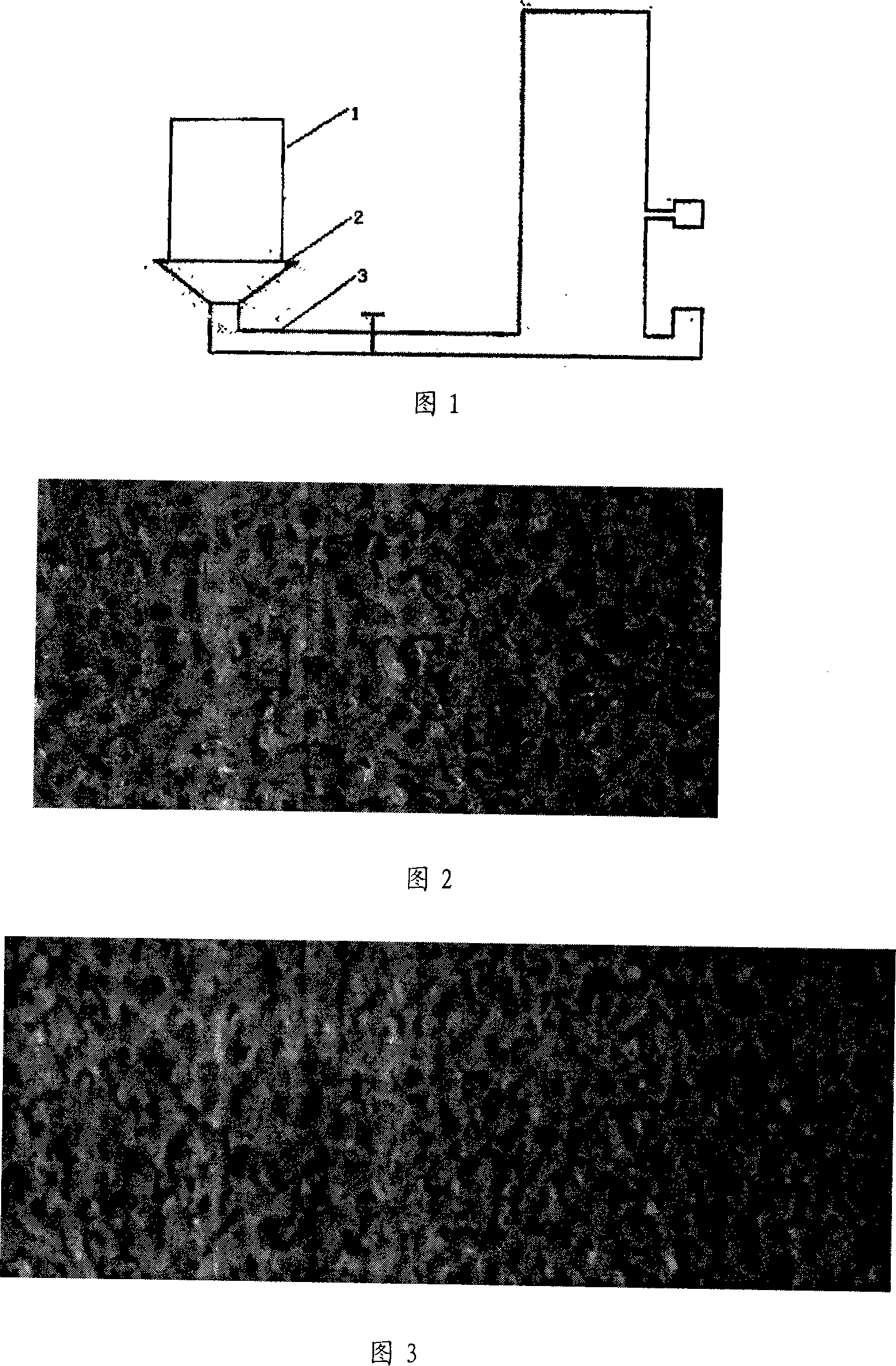 Pore structure modulating through-hole porous aluminum and aluminum alloy and preparation method thereof