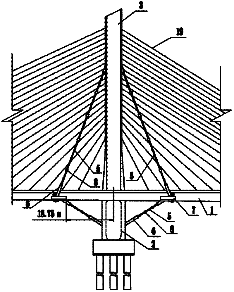Reinforcement structure of single-cable-plane cable-stayed bridge