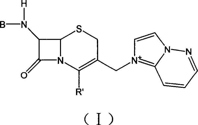 'One kettle process' of preparing cefozopran and its intermediate