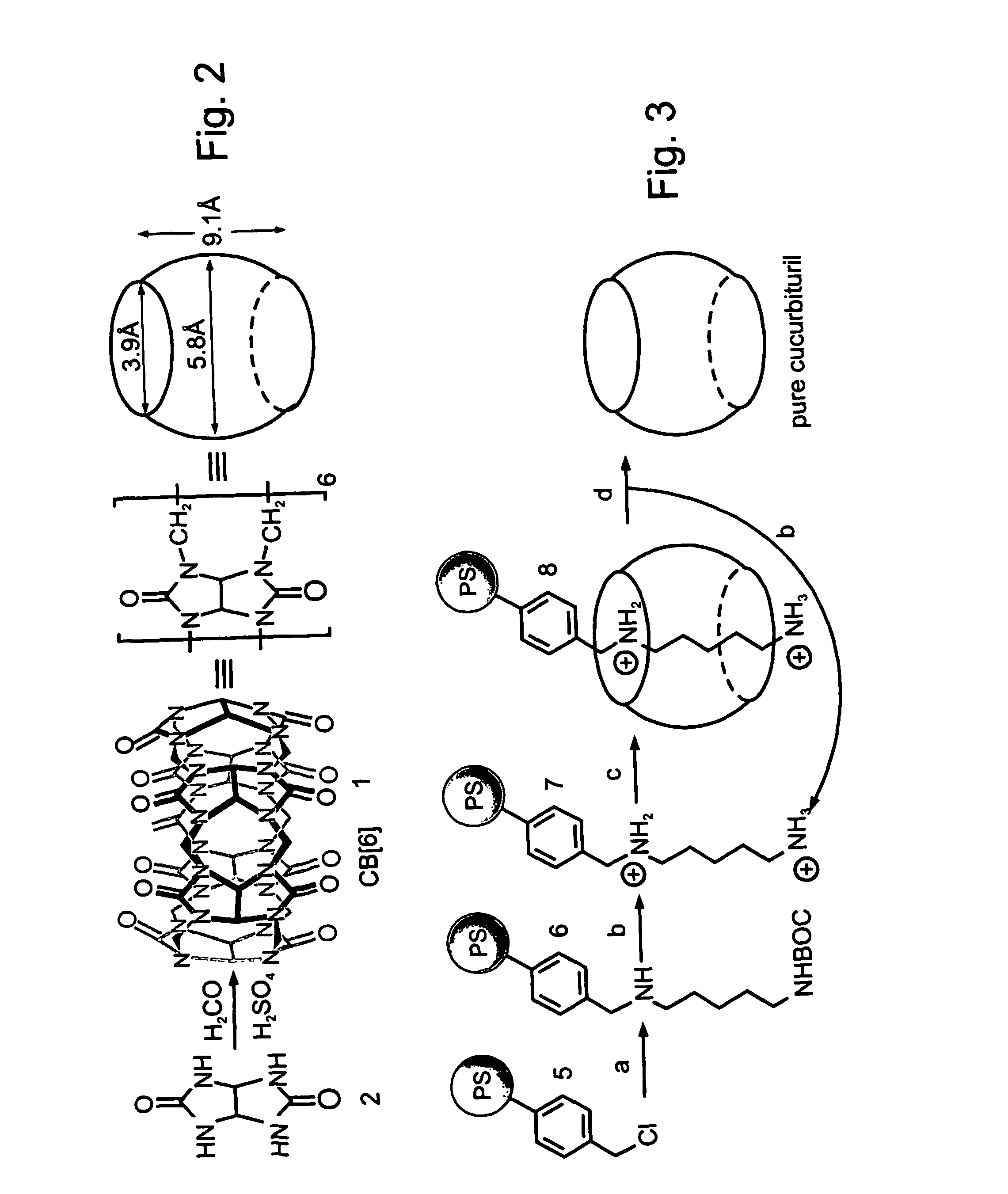 Novel synthetic binding pairs and uses thereof