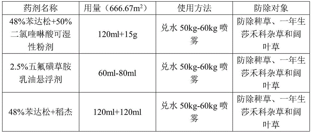 Cold-zone japonica rice dry-seeding water pipe cultivation method