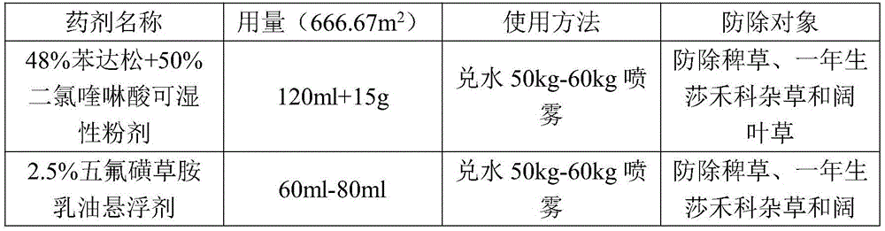 Cold-zone japonica rice dry-seeding water pipe cultivation method