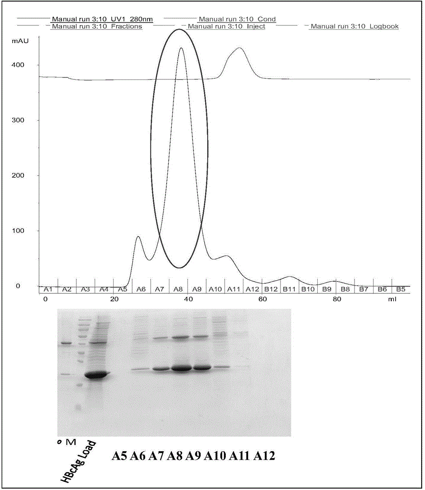 Method for purifying prokaryotic cell expressed viroid particle