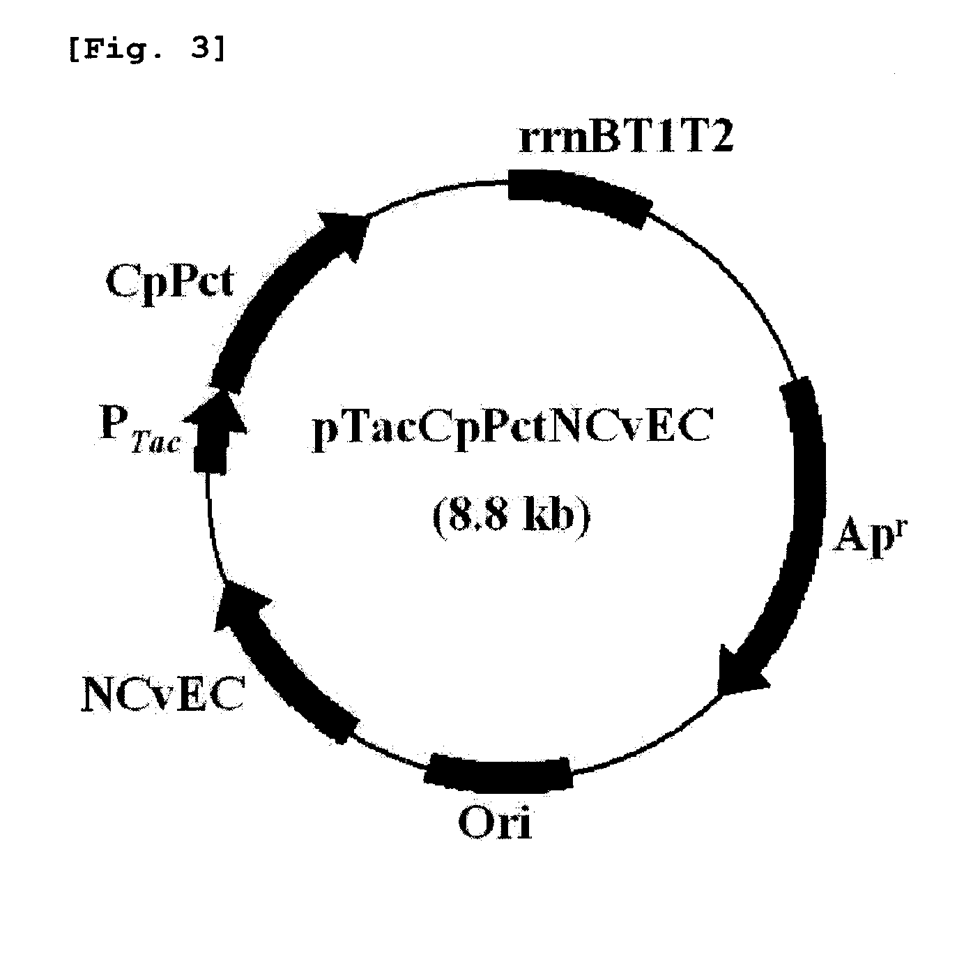 Copolymer containing 3-hydroxyalkanoate unit and lactate unit, and its manufacturing method