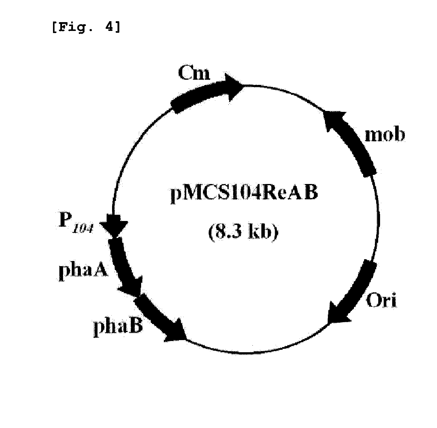 Copolymer containing 3-hydroxyalkanoate unit and lactate unit, and its manufacturing method