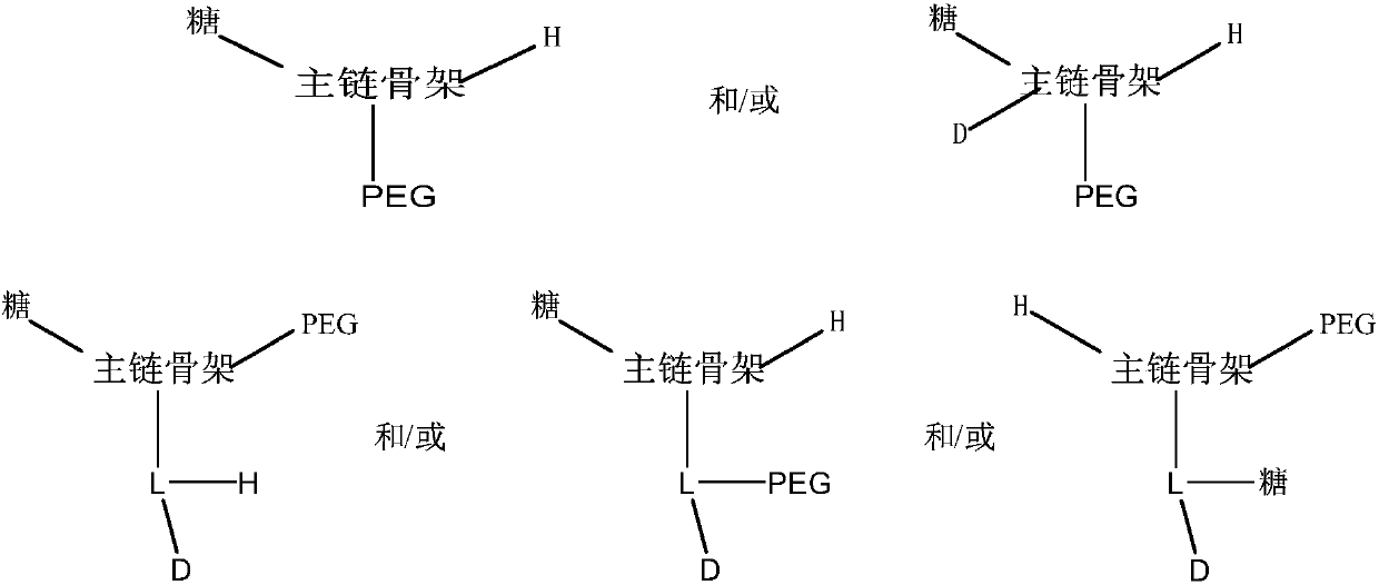 Polymer-carbohydrate conjugates for drug delivery technology