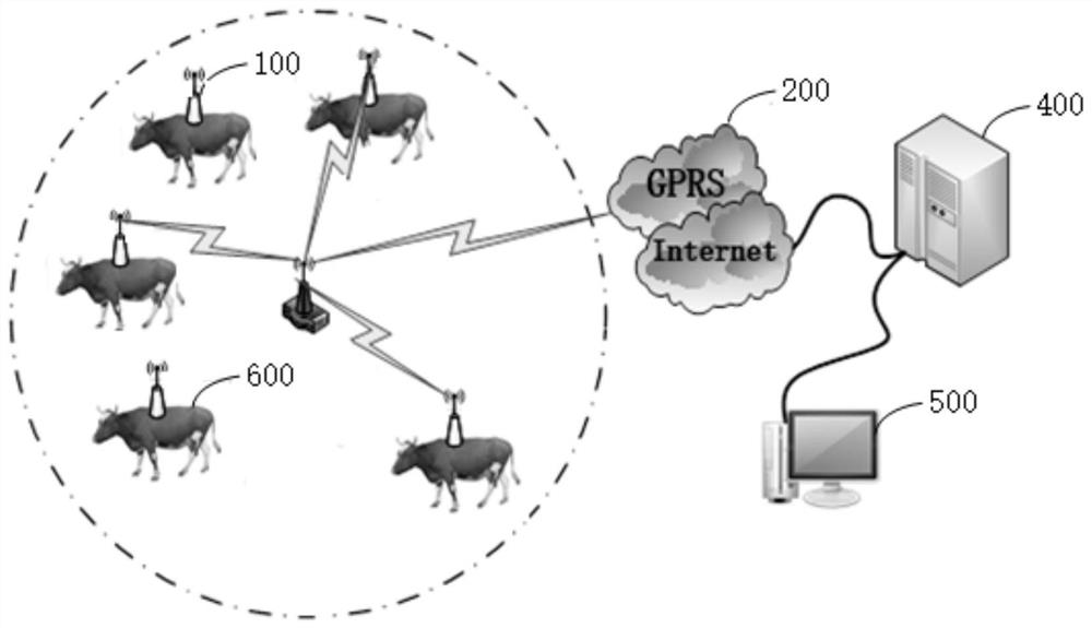 Livestock chewing analysis method, device and electronic equipment