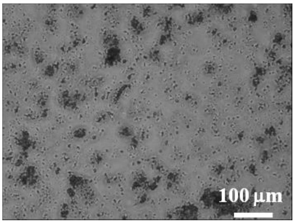 Carboxymethyl chitosan microcapsule for jointly loading chemotherapeutic drug and thermal therapy sensitizer to slowly release novel embolic agent, and preparation method and application of carboxymethyl chitosan microcapsule