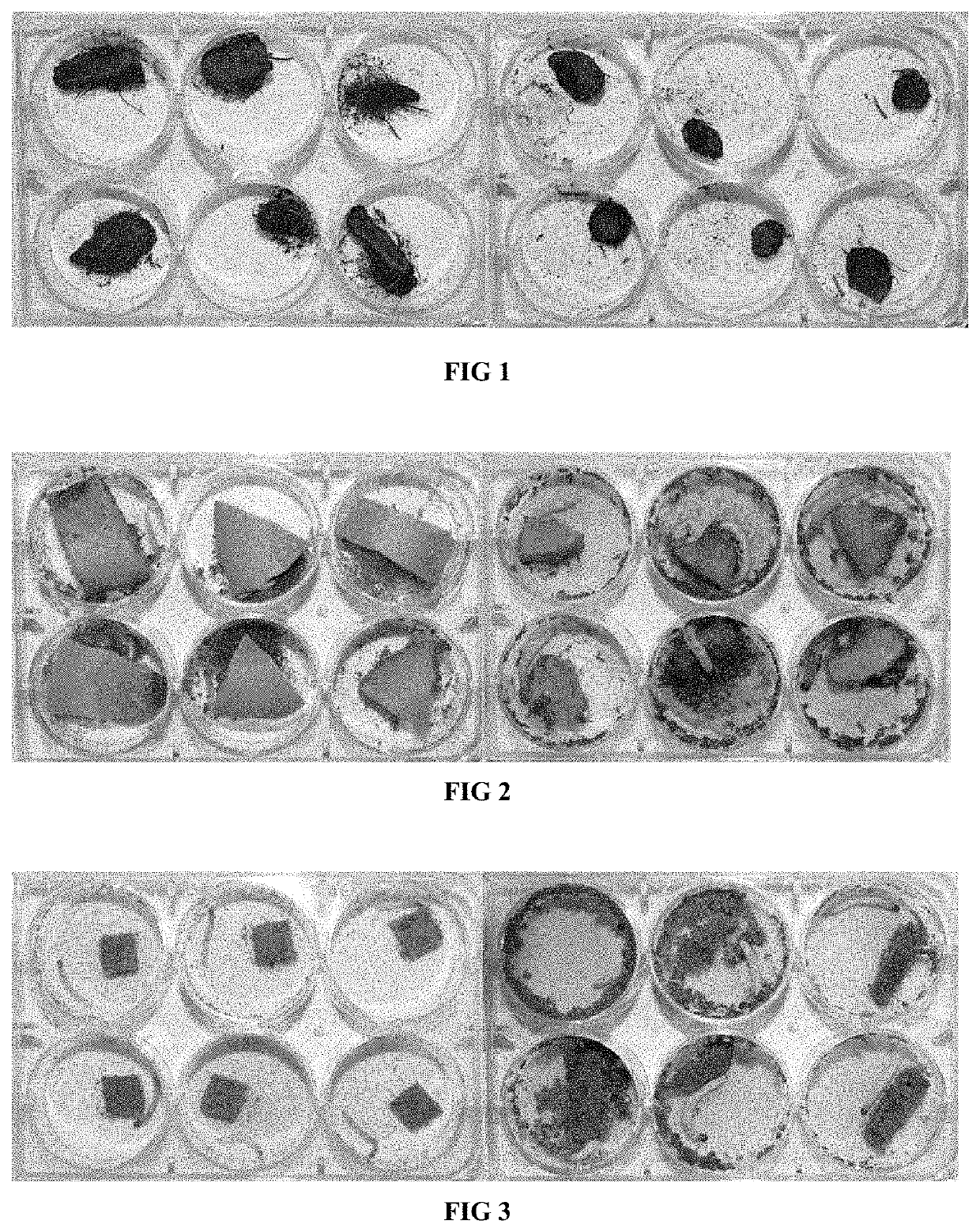 Artificial diet for ghost moth larvae and preparation method thereof